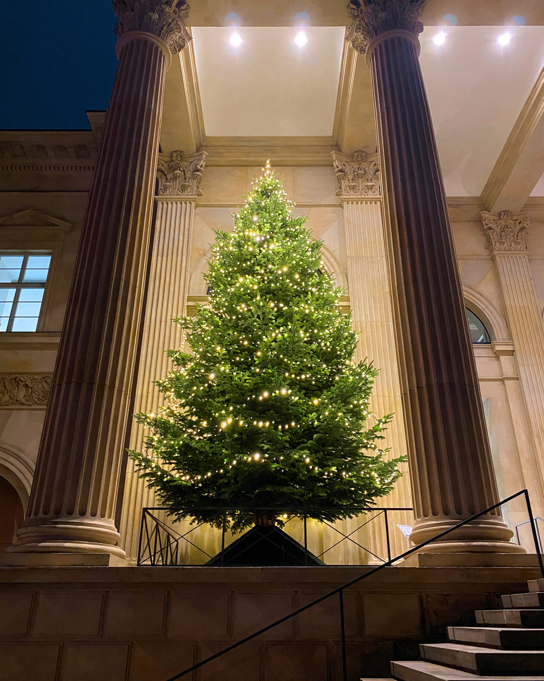 Beleuchteter Tannenbaum auf der Empore des Portikus